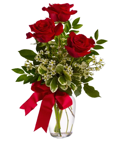 3 rose