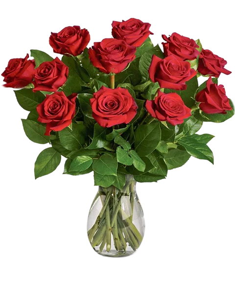 12 rose rosse