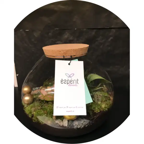 Terrarium