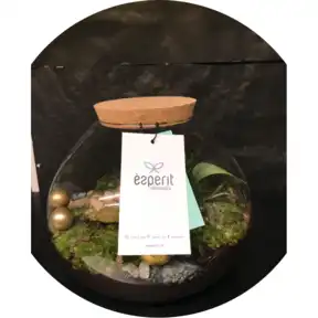 Terrarium Terrarium
